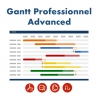 Gantt Professionnel Advanced Dolibarr