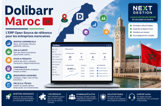Dolibarr Morocco: Ecosystem, Stakeholders, and the Growth of an Open-Source ERP