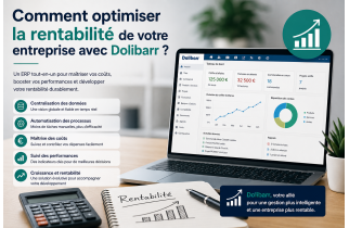 How to Optimize Your Business Profitability with Dolibarr?