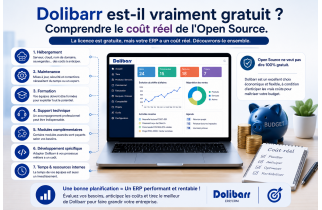 Is Dolibarr Really Free? Understanding the True Cost of Open Source