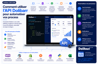 How to use the Dolibarr API to automate your processes